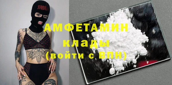 гидра Алексеевка