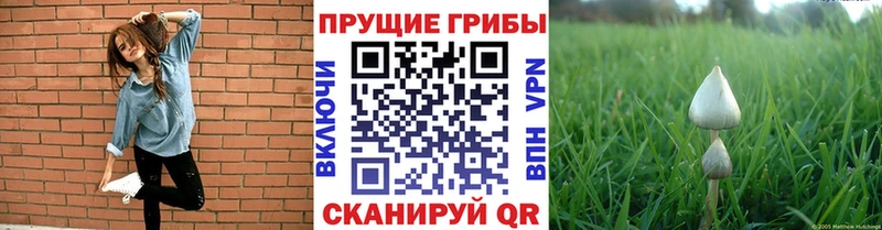 Галлюциногенные грибы мицелий  МЕГА маркетплейс  Гусиноозёрск 